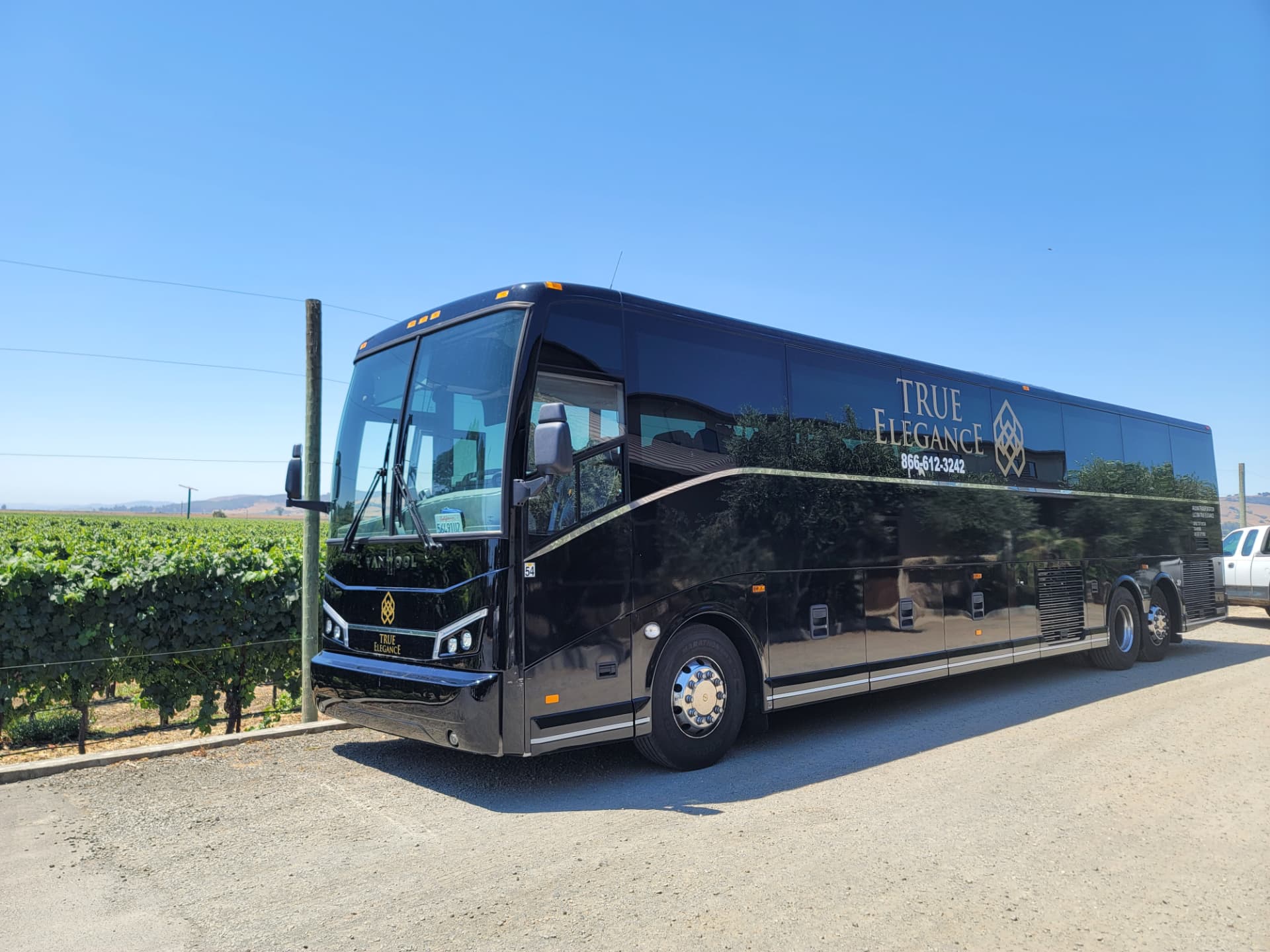 56-Passenger Coach Buses